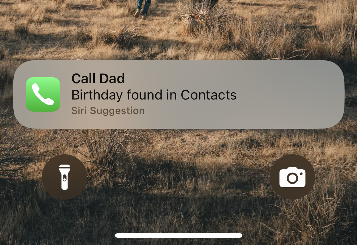 Siri birthday reminder