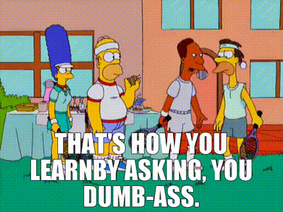 Simpsons thats how you learn
