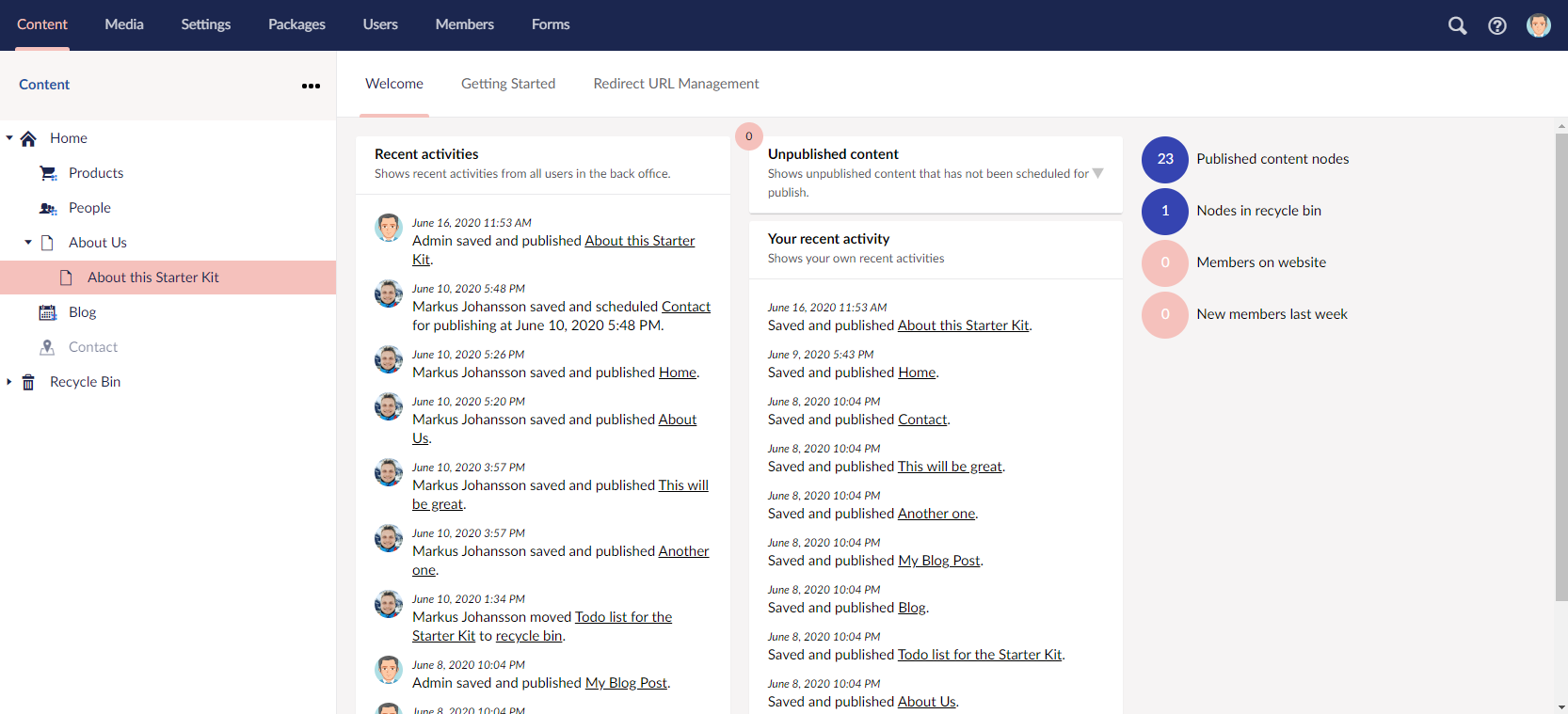 Custom Umbraco dashboard view