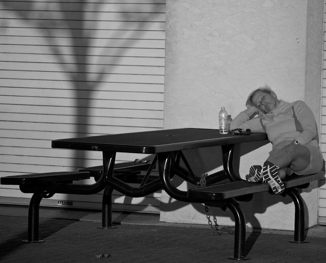 Afternoon nappin from earlier this fall.