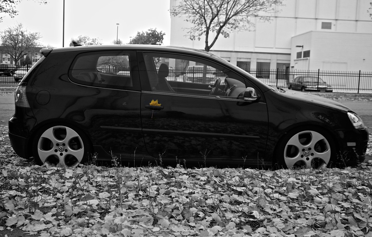 The last leaf of fall holding on tightly. Northeast Minneapolis