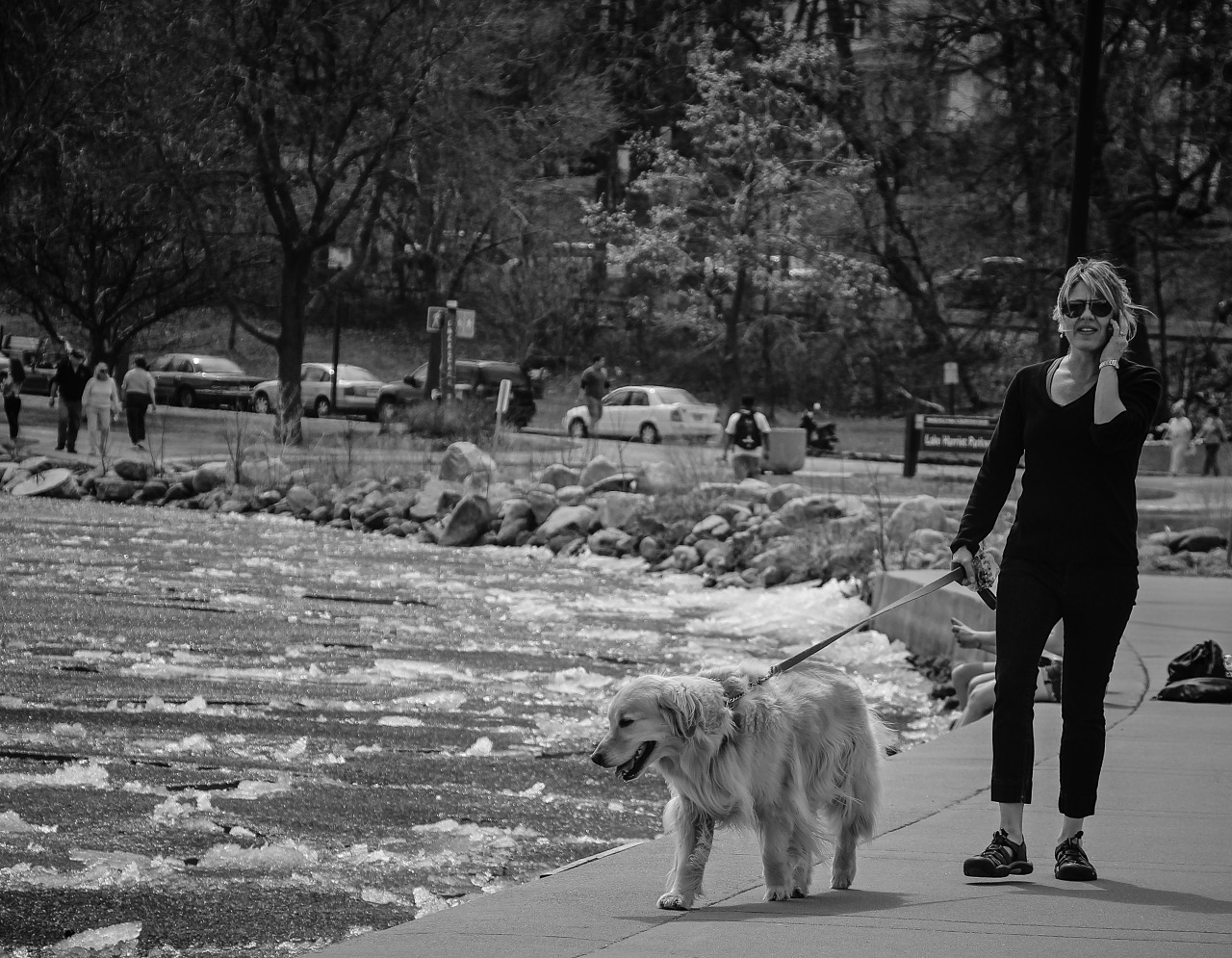 Spring in the upper Midwest.