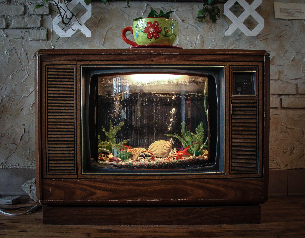 Seque cafe. Elliot Park