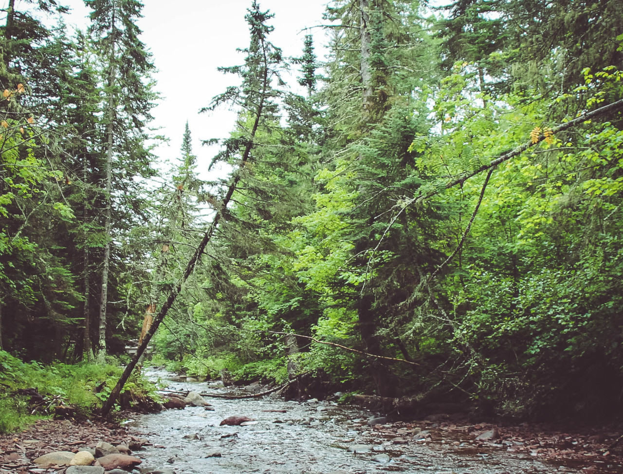 Minnesota north shore