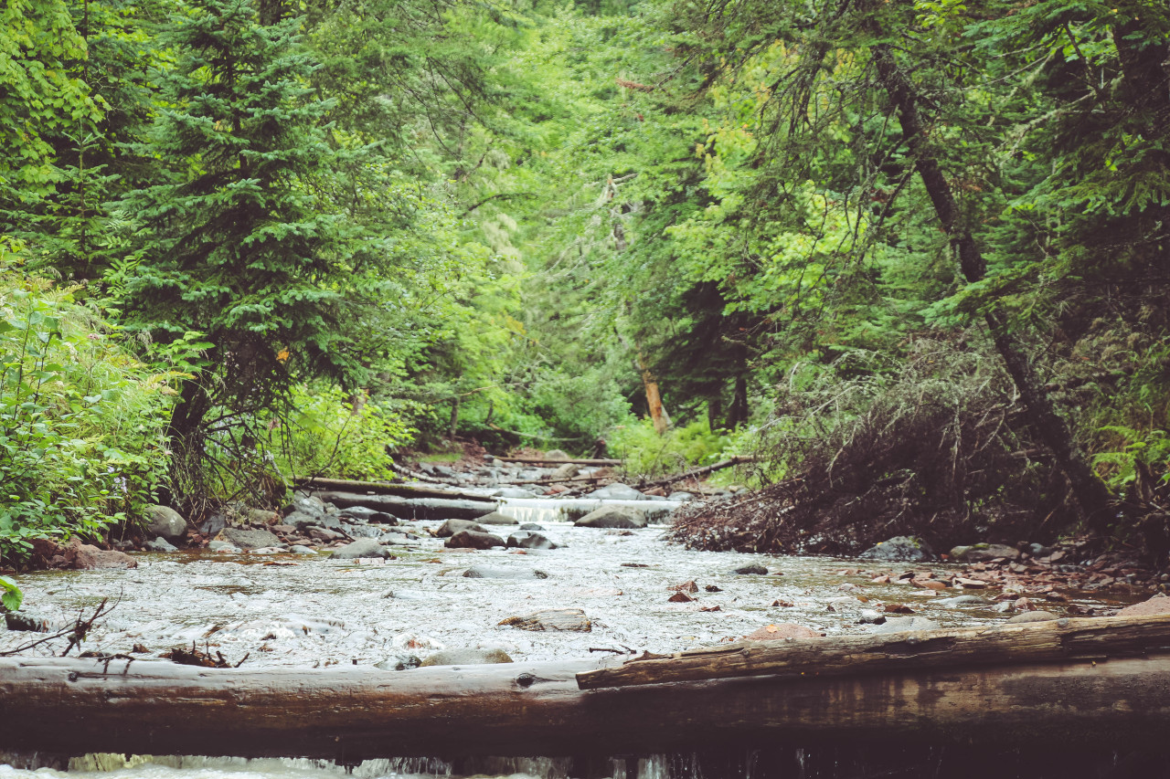 Minnesota north shore