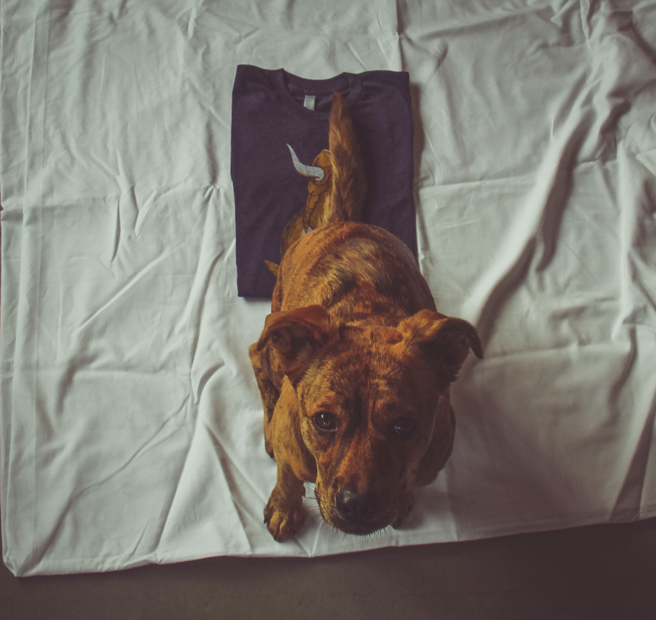 Sheffield will only let me take pictures of her