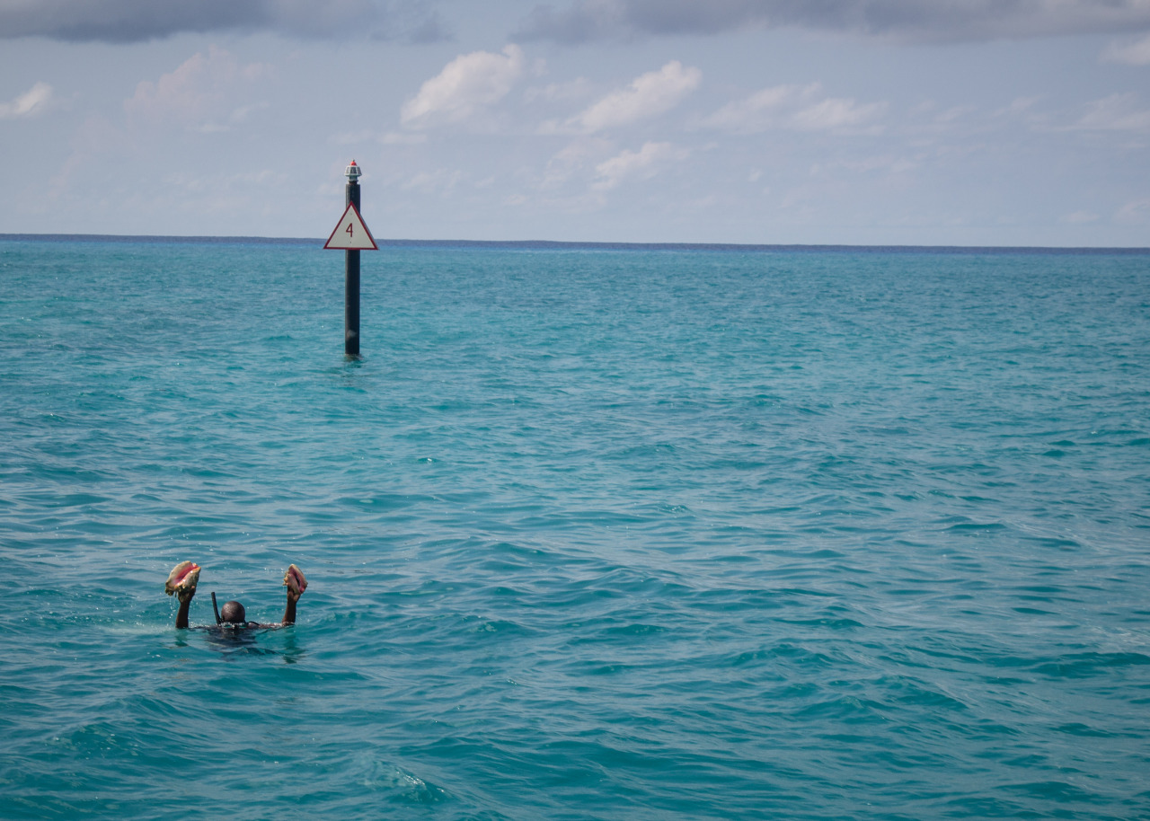 Some pics from our 10 days in the Turks & Caicos islands.