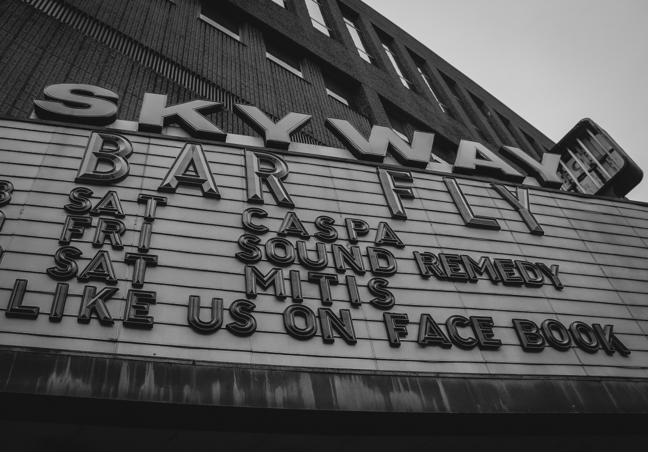 Skyway Theater/Bar Fly