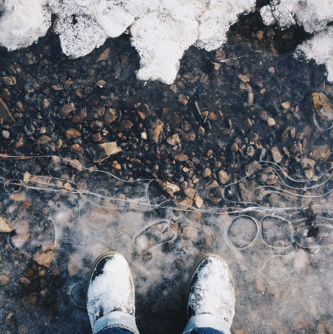 Banks of the Mississippi.